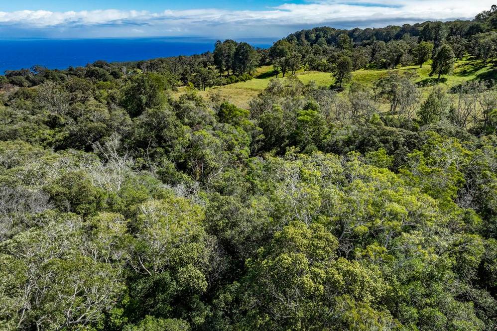 OLD STABLE RD Land for Sale in PAAUILO 705578 Hawaii Life