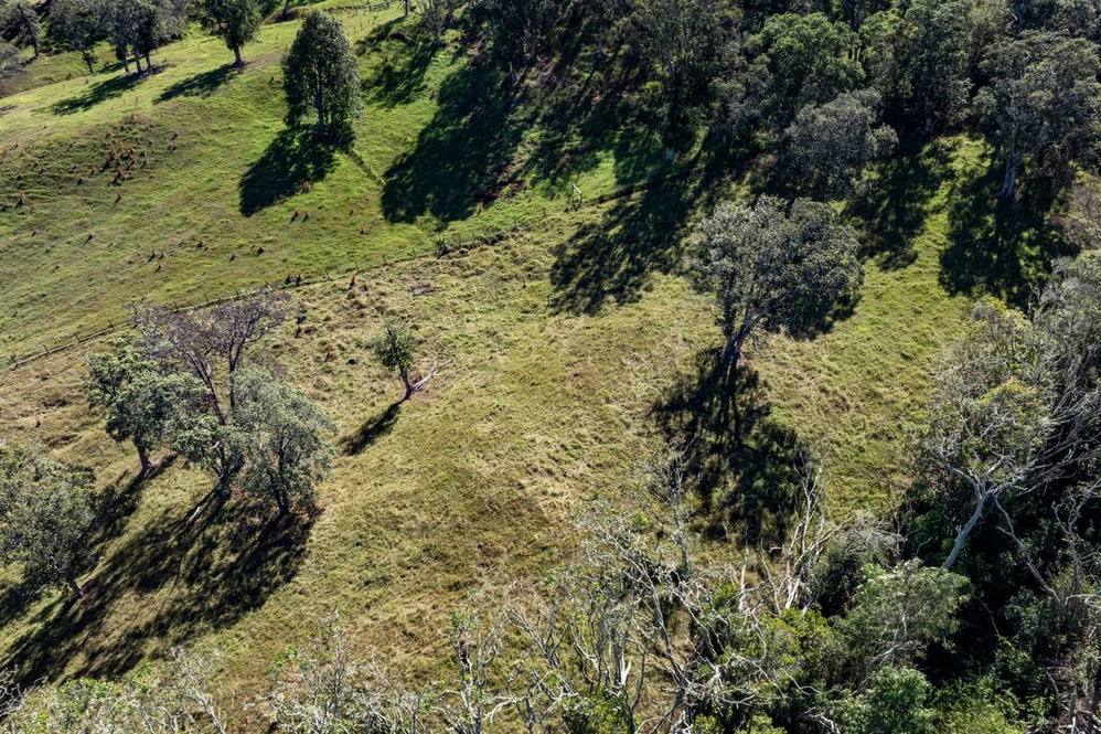 OLD STABLE RD Land for Sale in PAAUILO 705578 Hawaii Life