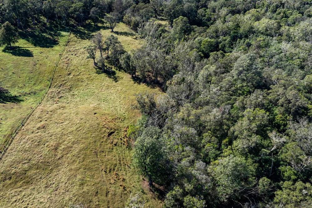 OLD STABLE RD Land for Sale in PAAUILO 705578 Hawaii Life