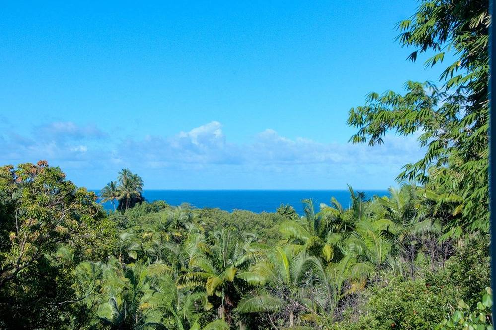 27577 OLD MAMALAHOA HWY 2 House for Sale in PAPAIKOU 706596