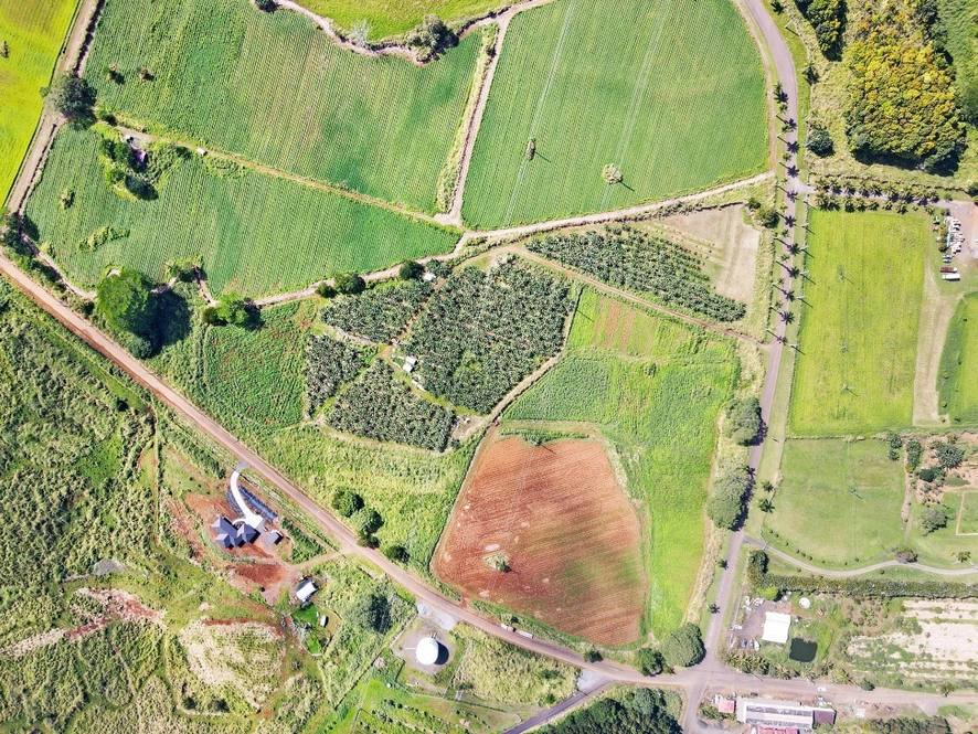 Orchards at Pepeekeo Land for Sale in PEPEEKEO 671112 Hawaii Life