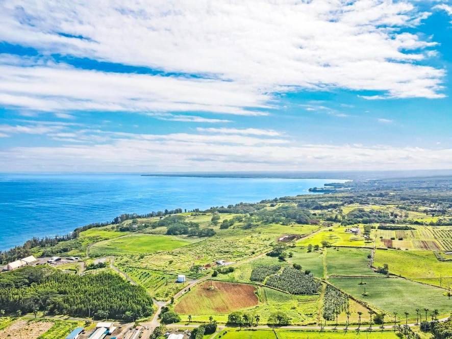 Orchards at Pepeekeo Land for Sale in PEPEEKEO 671112 Hawaii Life