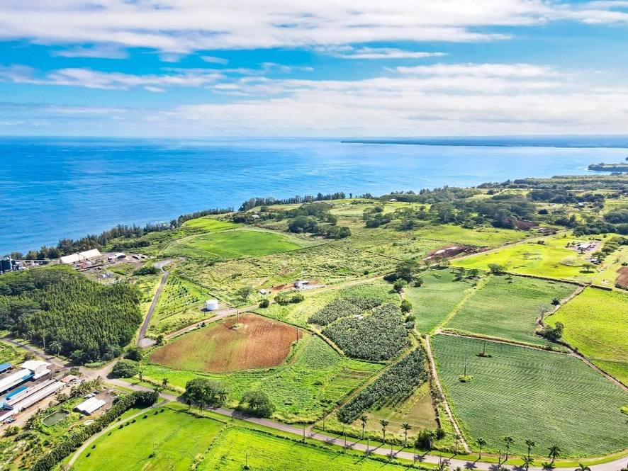 Orchards at Pepeekeo Land for Sale in PEPEEKEO 671112 Hawaii Life