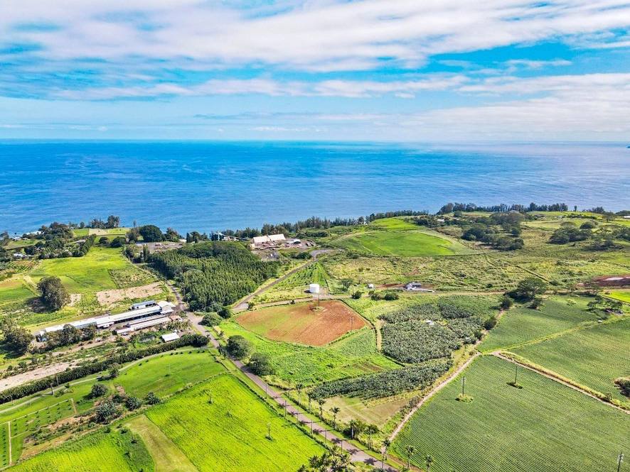 Orchards at Pepeekeo Land for Sale in PEPEEKEO 671112 Hawaii Life