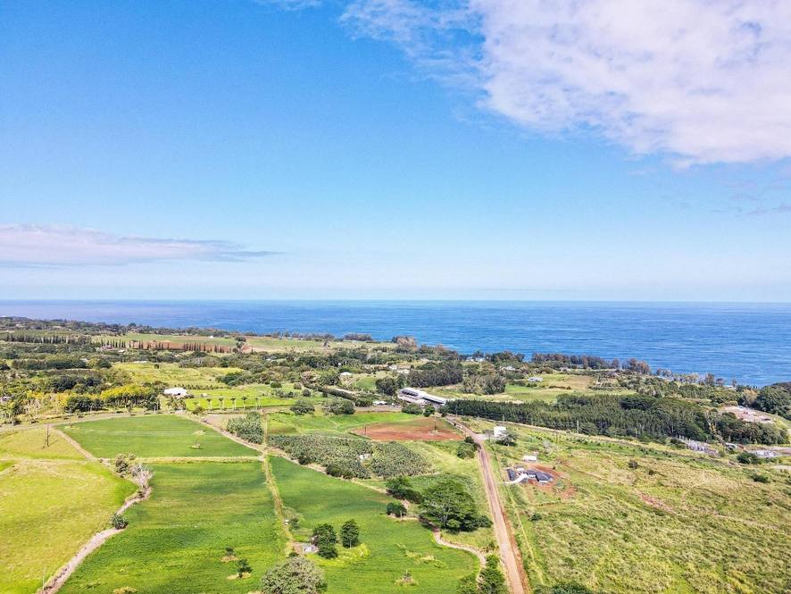 Orchards at Pepeekeo Land for Sale in PEPEEKEO 671112 Hawaii Life