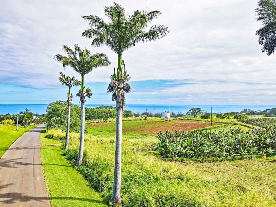 Orchards at Pepeekeo Land for Sale in PEPEEKEO 671112 Hawaii Life