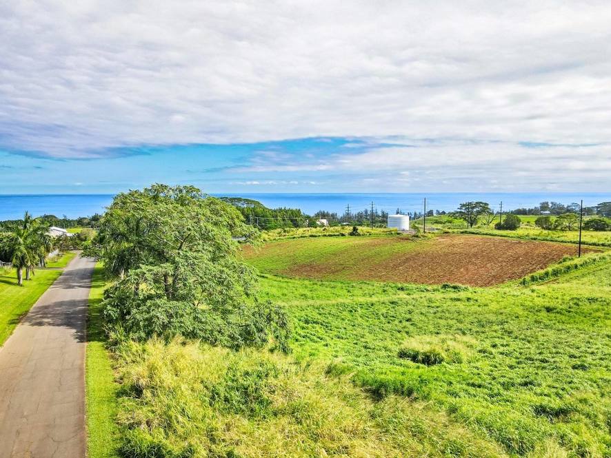 Orchards at Pepeekeo Land for Sale in PEPEEKEO 671112 Hawaii Life