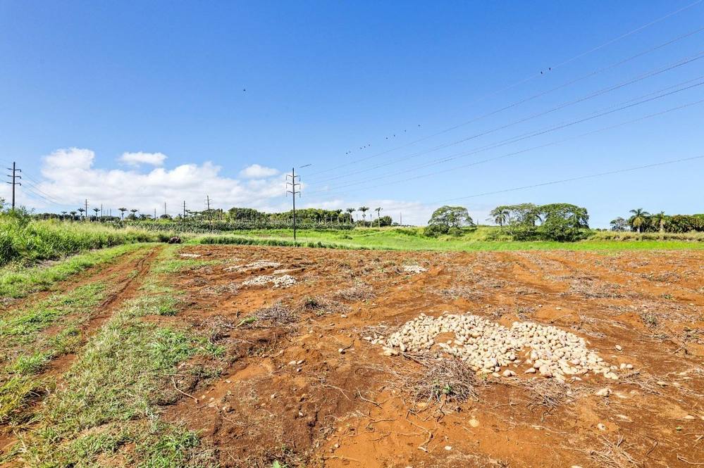 Orchards at Pepeekeo Land for Sale in PEPEEKEO 671112 Hawaii Life