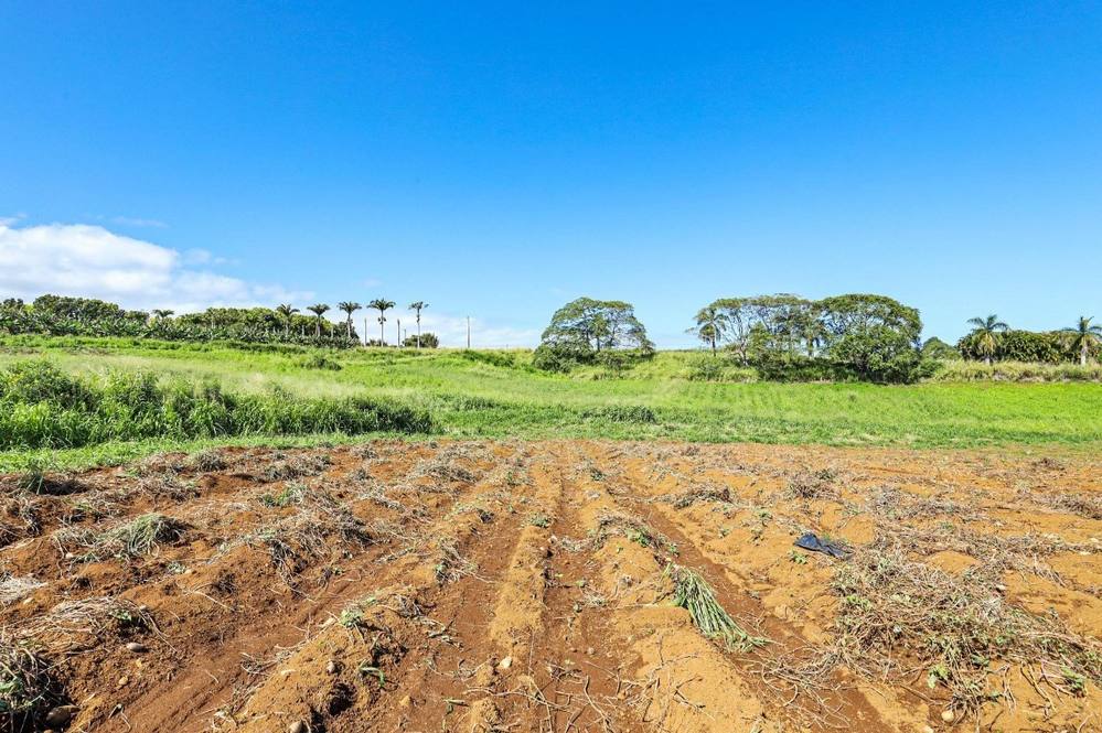 Orchards at Pepeekeo Land for Sale in PEPEEKEO 671112 Hawaii Life