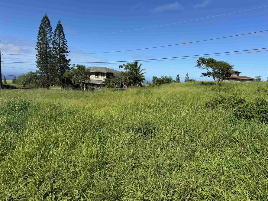 Puunana St 723 Land for Sale in Maunaloa 401031 Hawaii Life