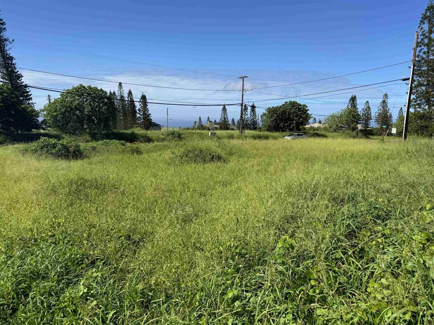 Puunana St 723 Land for Sale in Maunaloa 401031 Hawaii Life
