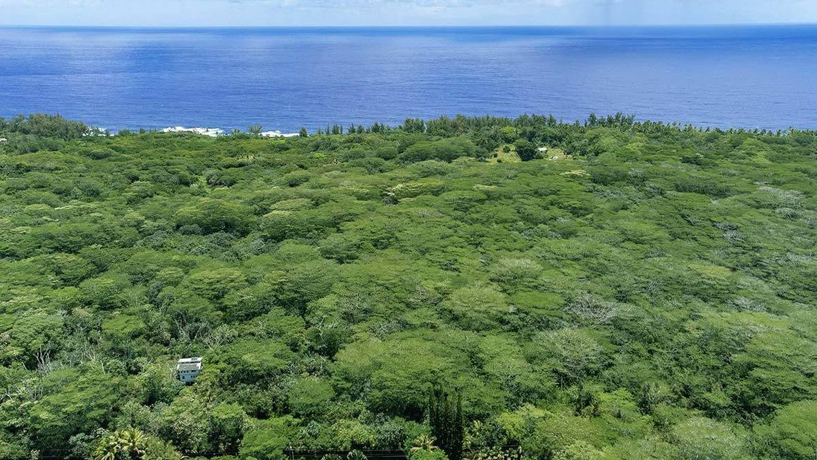3RD AVE (AWA) Land for Sale in KEAAU 707303 Hawaii Life