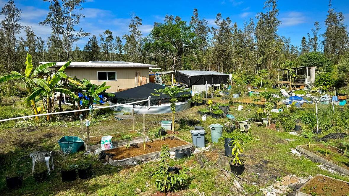 161080 KEA RD House for Sale in MOUNTAIN VIEW 707594 Hawaii Life