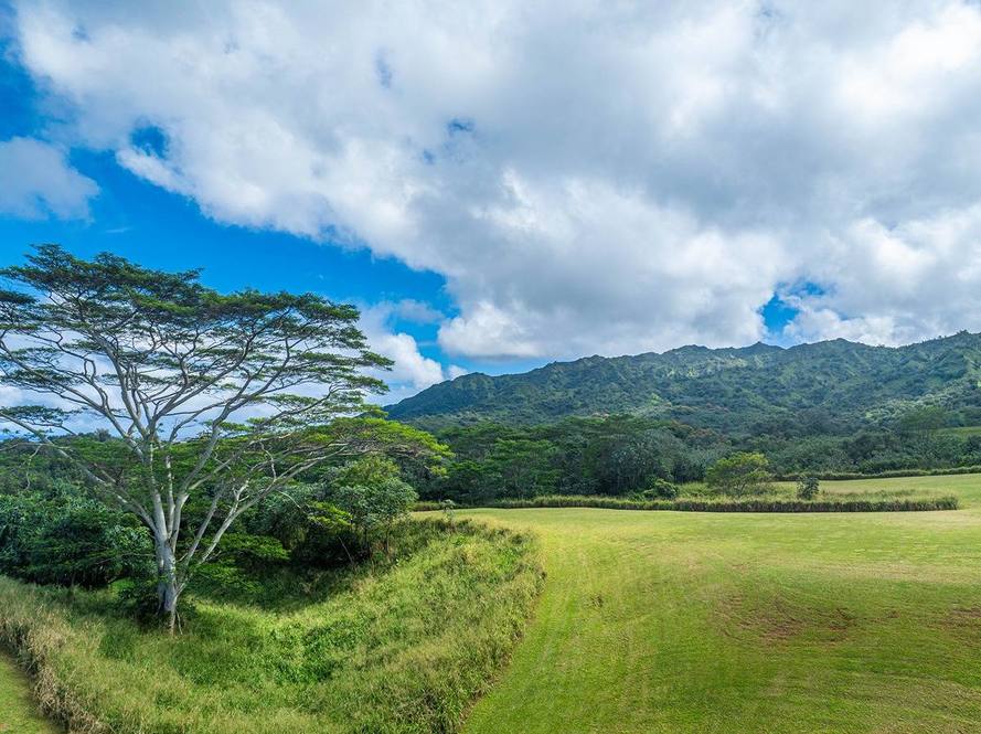 KAPUNA RD Land for Sale in KILAUEA 707900 Neal Norman Hawaii Life