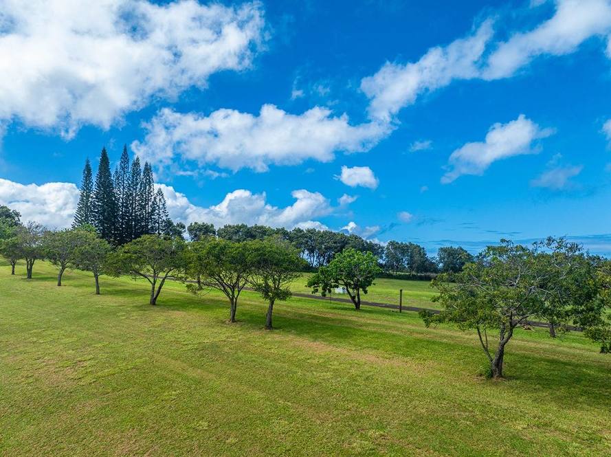 KAPUNA RD Land for Sale in KILAUEA 707900 Neal Norman Hawaii Life