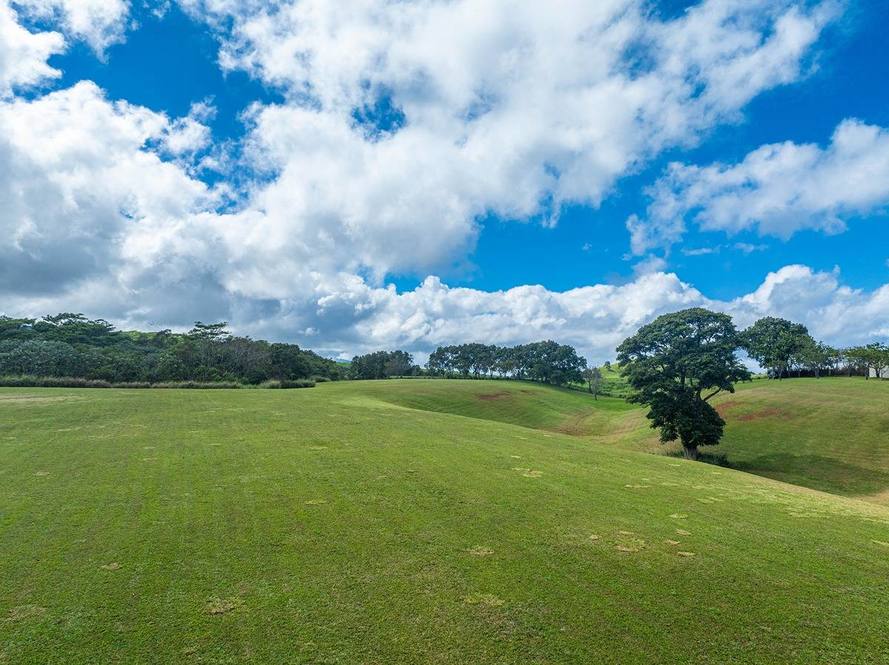 KAPUNA RD Land for Sale in KILAUEA 707900 Neal Norman Hawaii Life