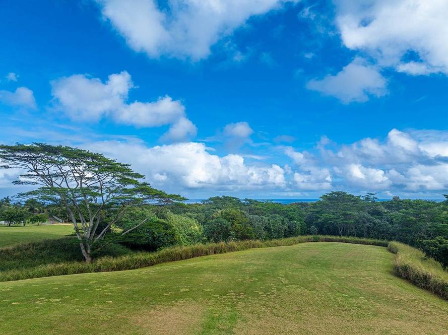 KAPUNA RD Land for Sale in KILAUEA 707900 Neal Norman Hawaii Life