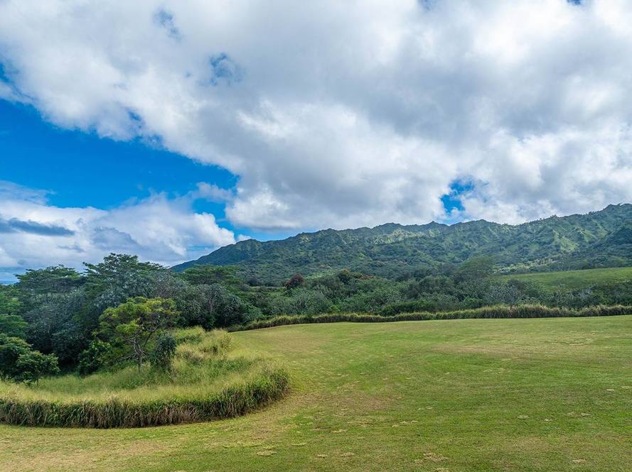 KAPUNA RD Land for Sale in KILAUEA 707900 Neal Norman Hawaii Life