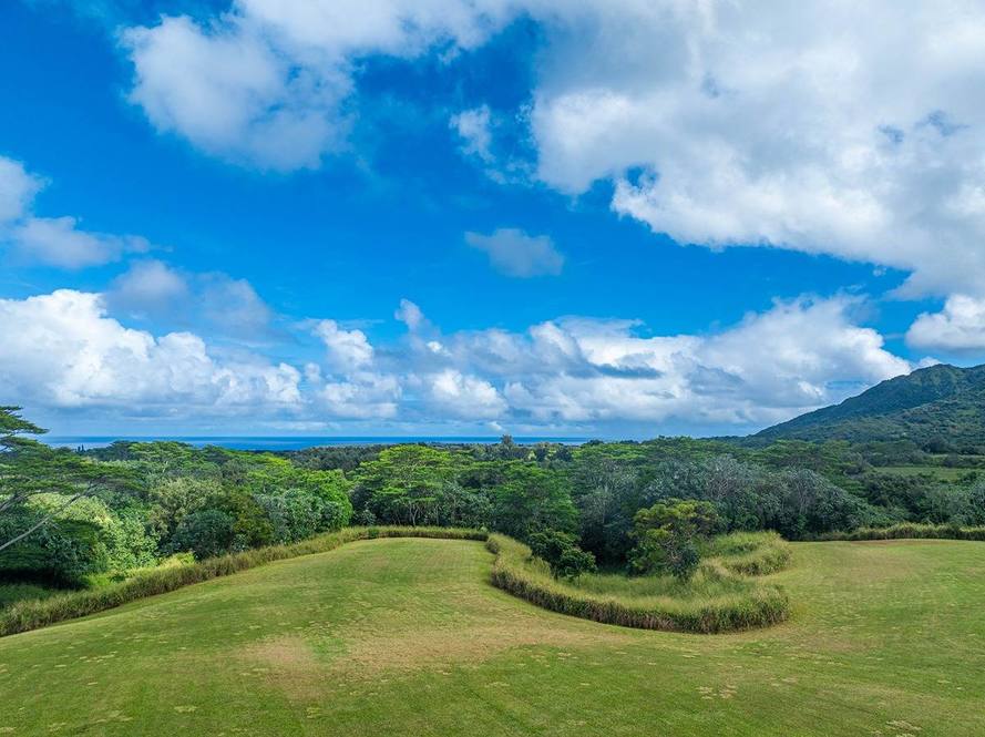KAPUNA RD Land for Sale in KILAUEA 707900 Neal Norman Hawaii Life