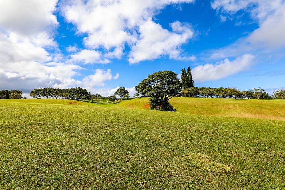 KAPUNA RD Land for Sale in KILAUEA 707900 Neal Norman Hawaii Life