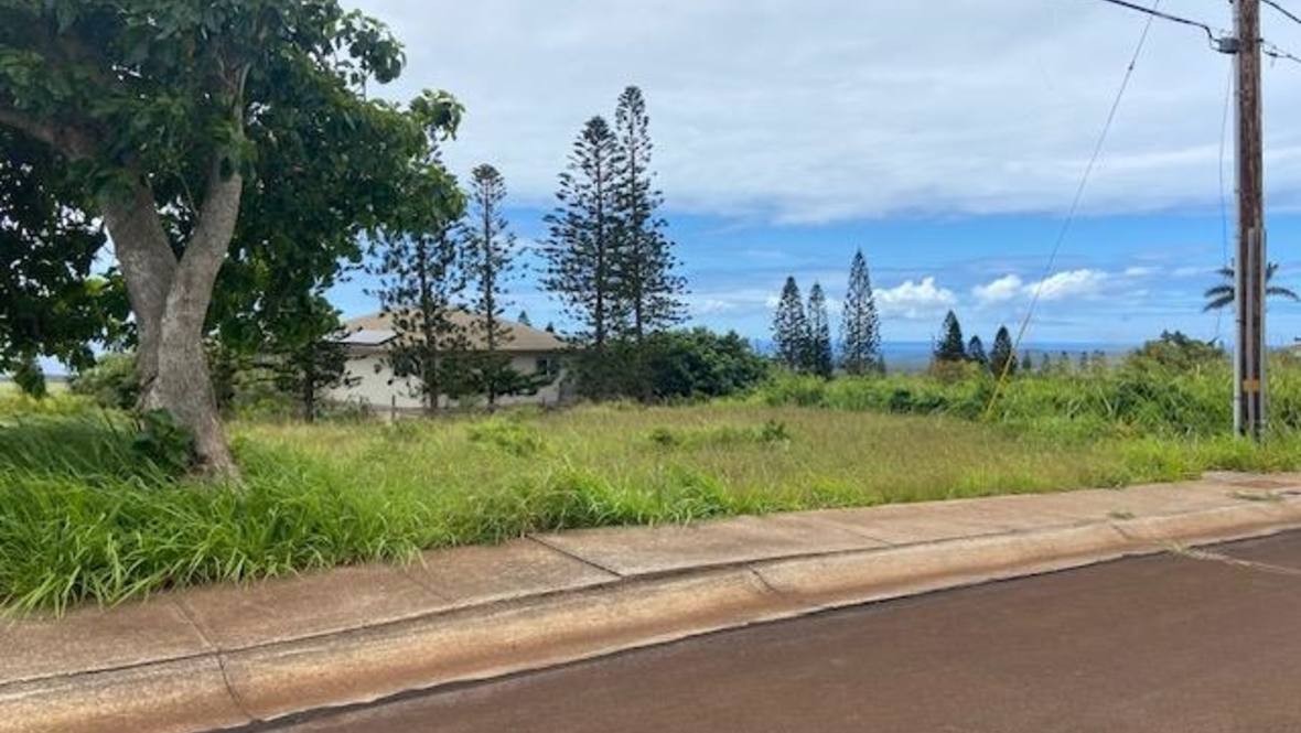 00 Waieli St Lot 727 Land for Sale in Maunaloa 400265 Hawaii Life