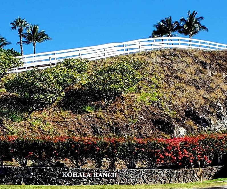 59619 HOOPAI TRAIL Land for Sale in Kohala Ranch 707192 Hawaii Life