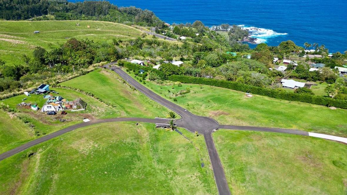 363358 KUWILI LANI PL Land for Sale in LAUPAHOEHOE 708081 Hawaii