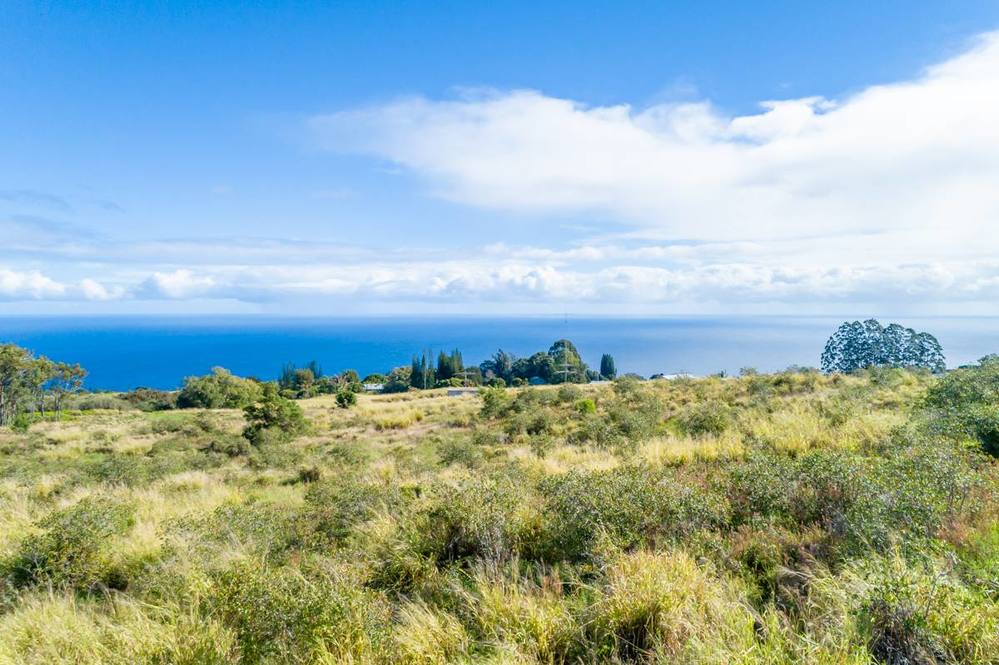 35410 KIHALANI HOMESTEAD RD Land for Sale in LAUPAHOEHOE 708219
