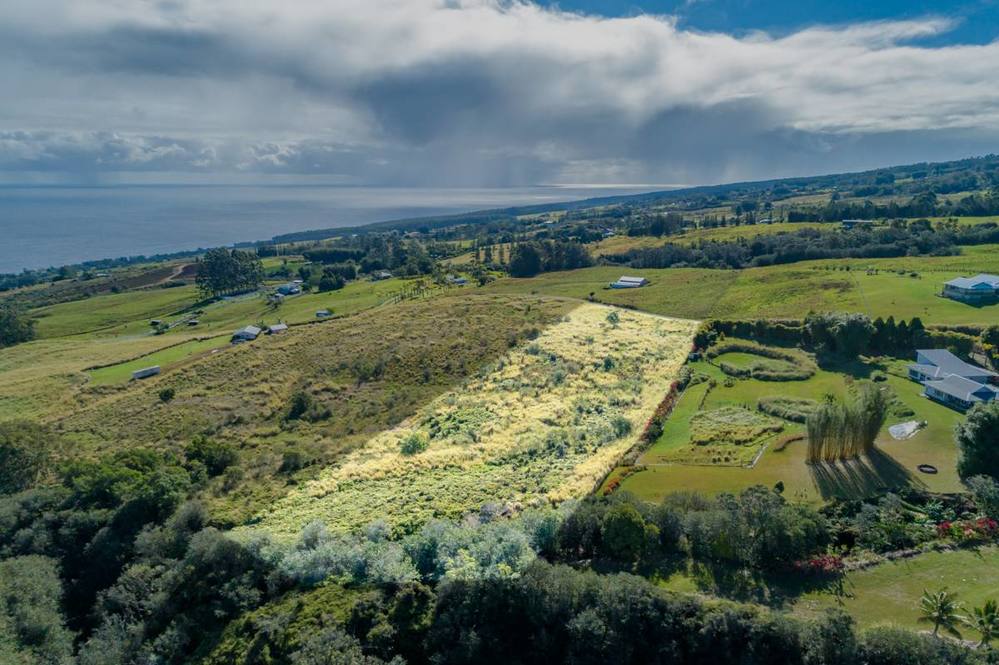 35410 KIHALANI HOMESTEAD RD Land for Sale in LAUPAHOEHOE 708219