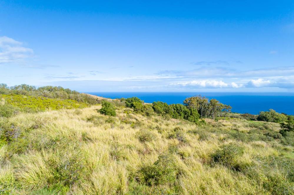 35410 KIHALANI HOMESTEAD RD Land for Sale in LAUPAHOEHOE 708219