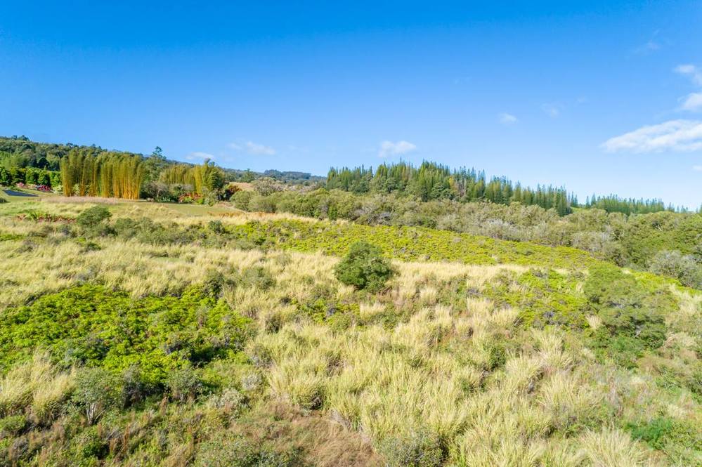 35410 KIHALANI HOMESTEAD RD Land for Sale in LAUPAHOEHOE 708219
