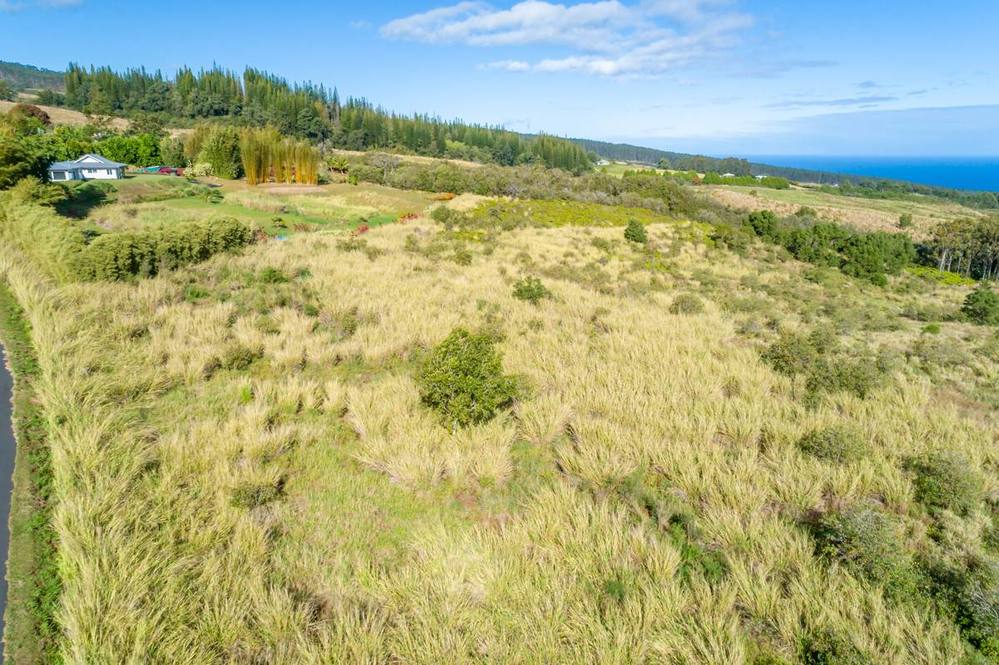 35410 KIHALANI HOMESTEAD RD Land for Sale in LAUPAHOEHOE 708219