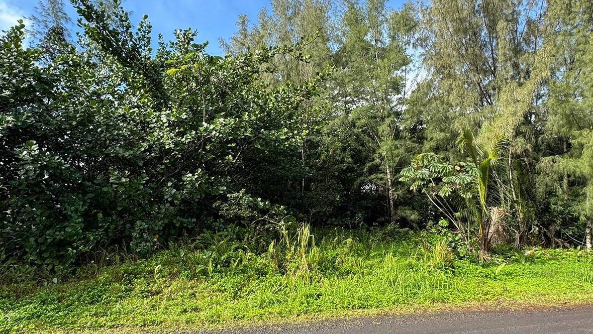 1ST AVE Land for Sale in KEAAU 706939 Hawaii Life