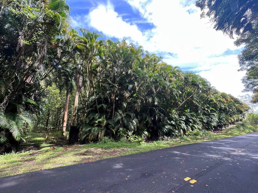 27920 OLD MAMALAHOA HIGHWAY Land for Sale in PEPEEKEO 708106