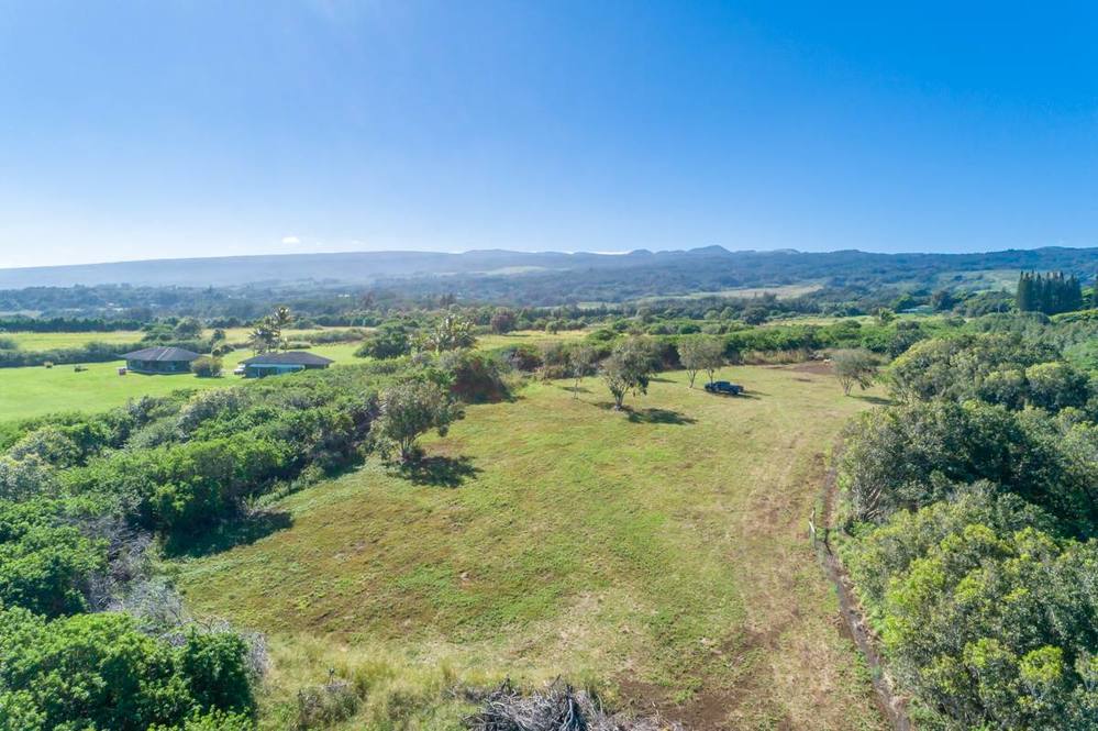 53338 KAPANAIA RD Land for Sale in KAPAAU 708158 Teri Takata Hawaii Life
