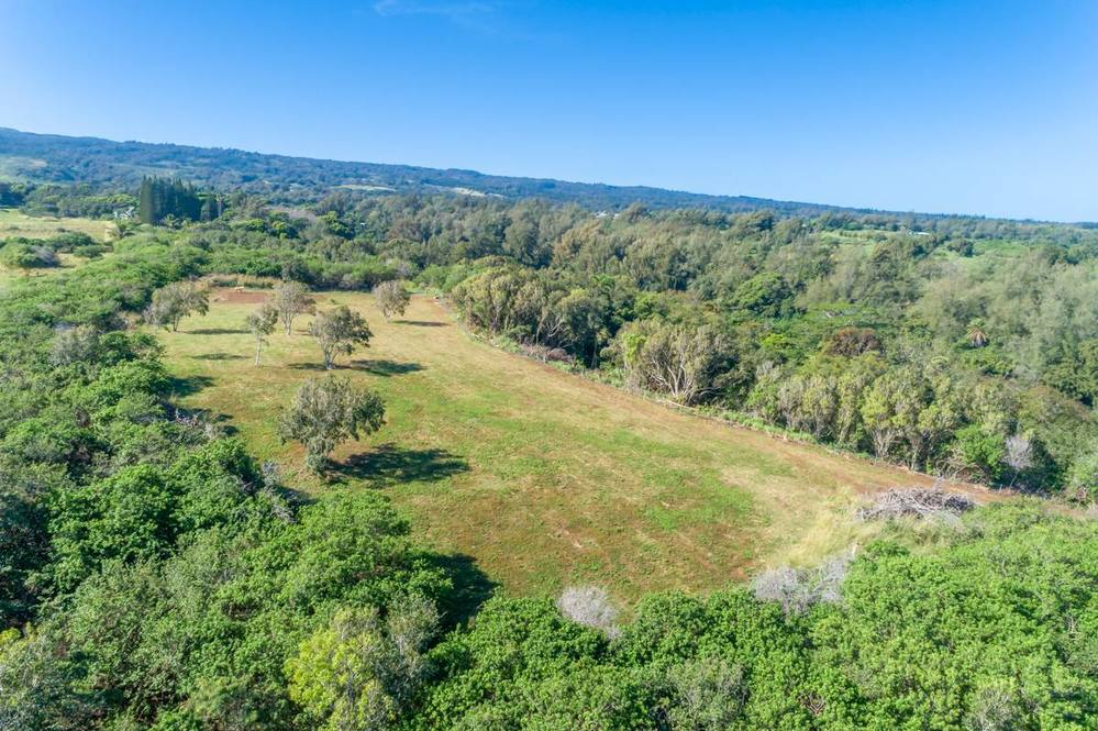 53338 KAPANAIA RD Land for Sale in KAPAAU 708158 Teri Takata Hawaii Life