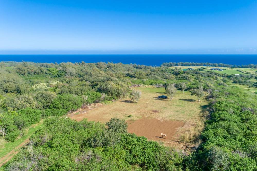 53338 KAPANAIA RD Land for Sale in KAPAAU 708158 Teri Takata Hawaii Life