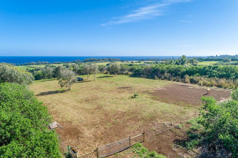 53338 KAPANAIA RD Land for Sale in KAPAAU 708158 Teri Takata Hawaii Life