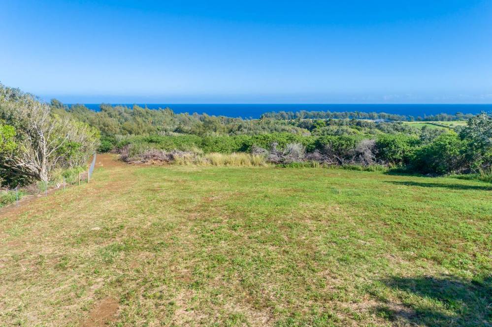 53338 KAPANAIA RD Land for Sale in KAPAAU 708158 Teri Takata Hawaii Life