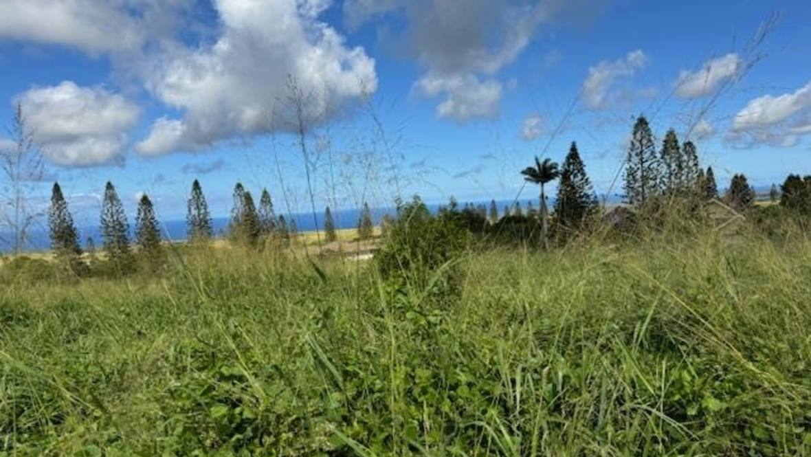 Linohau Pl 25 Land for Sale in Maunaloa 401234 Hawaii Life