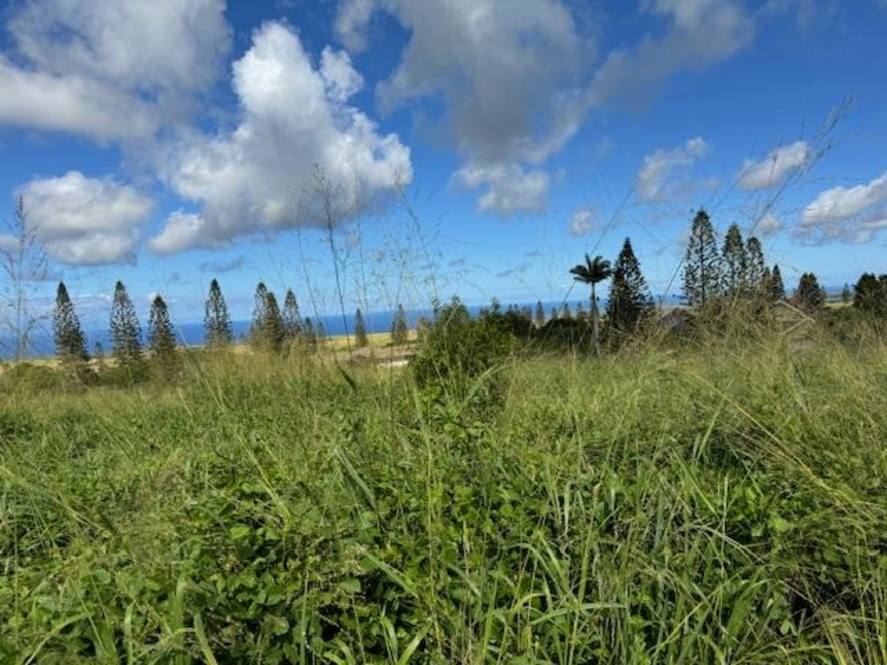 Linohau Pl 25 Land for Sale in Maunaloa 401234 Hawaii Life