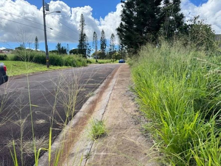 Linohau Pl 25 Land for Sale in Maunaloa 401234 Hawaii Life