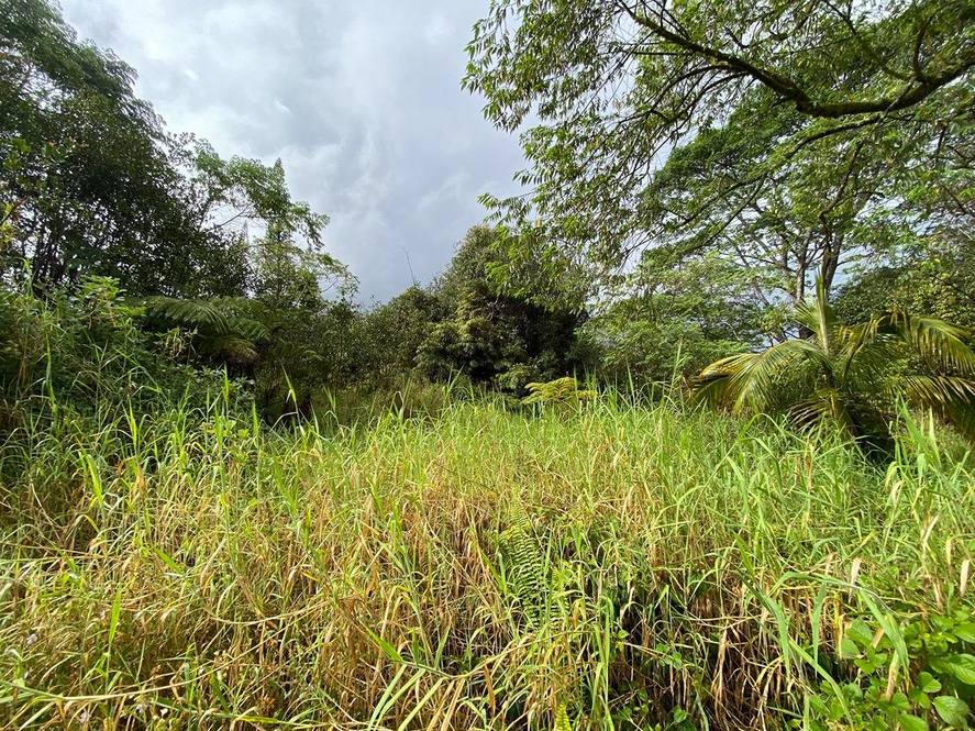 188035 KULANI RD Land for Sale in MOUNTAIN VIEW 708432 Hawaii Life