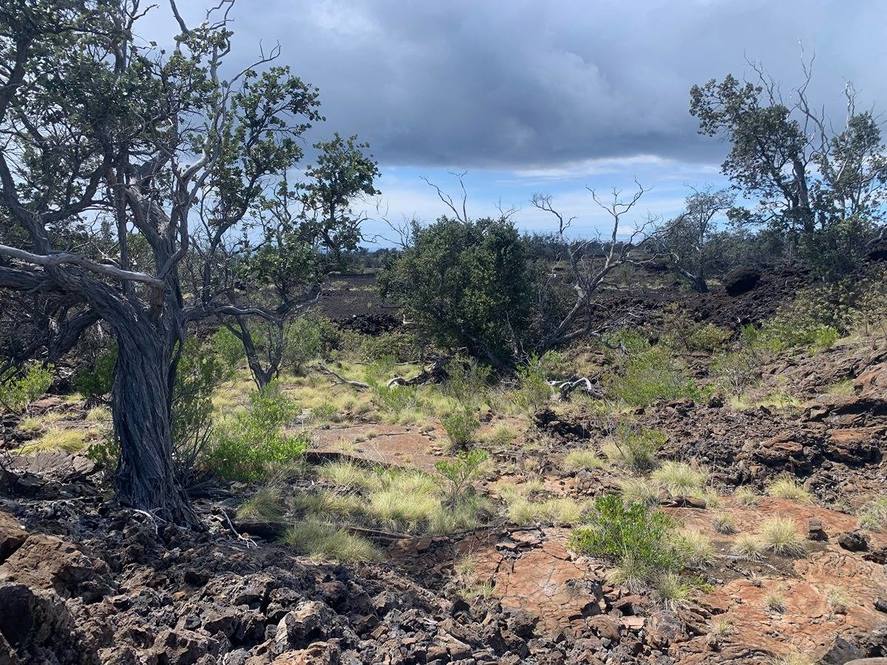 KONA KAI BLVD Land for Sale in NAALEHU 708545 Hawaii Life