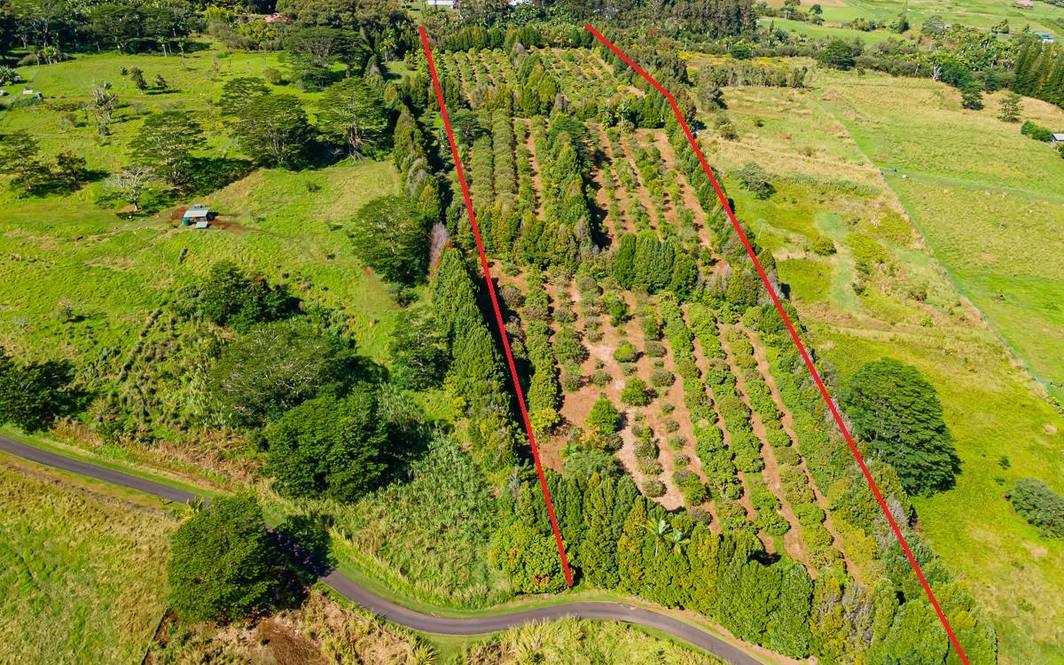 KAIWIKI HOMESTEAD RD Land for Sale in HAKALAU 707316 Hawaii Life