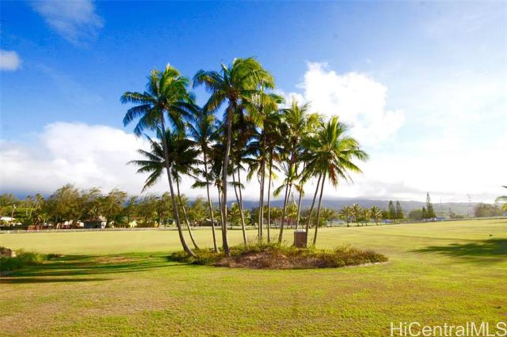 56481 Kamehameha Highway HM354 Land for Sale in Kahuku 202401604 Hawaii Life