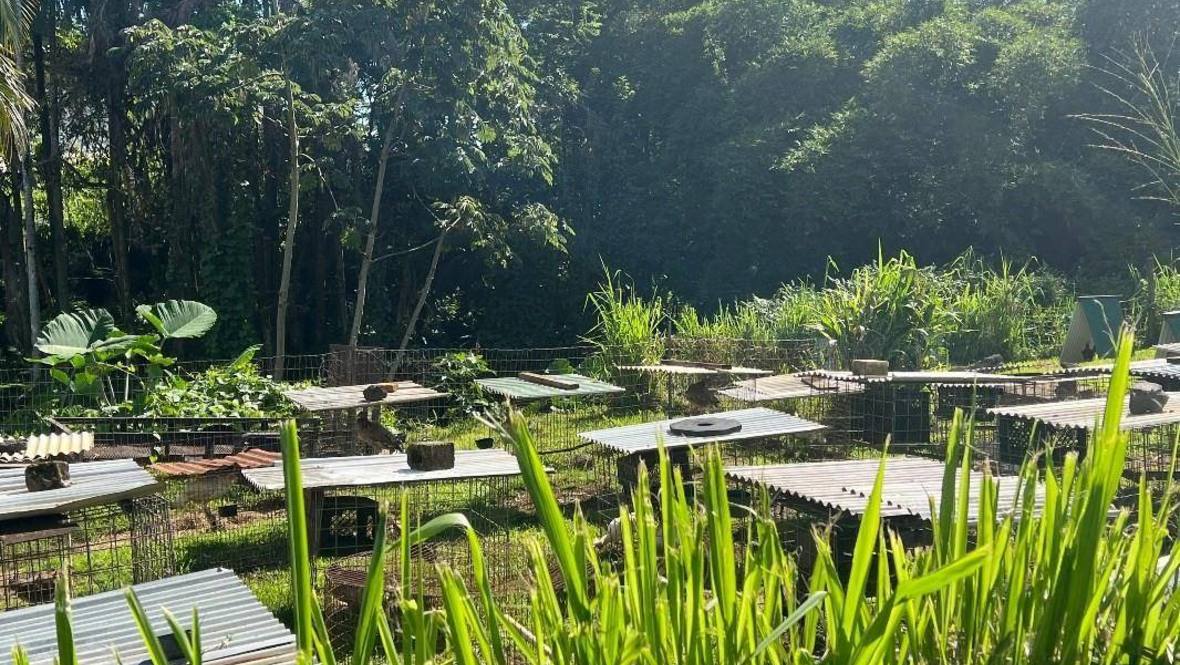 430 KAIWIKI RD Land for Sale in HILO 708979 Hawaii Life