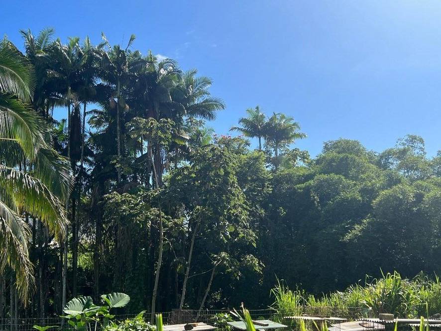 430 KAIWIKI RD Land for Sale in HILO 708979 Hawaii Life