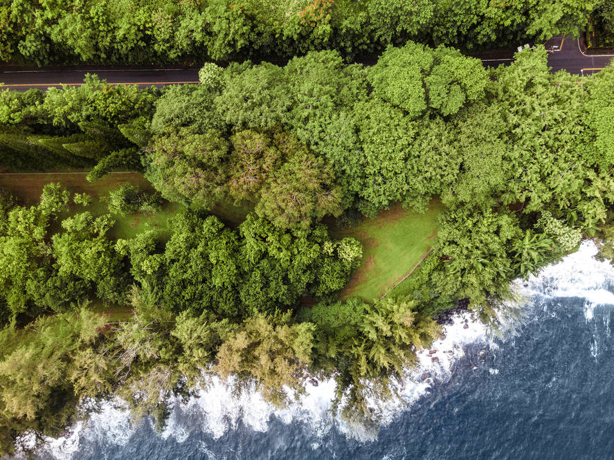 283628 HAWAII BELT RD House for Sale in HONOMU 708901