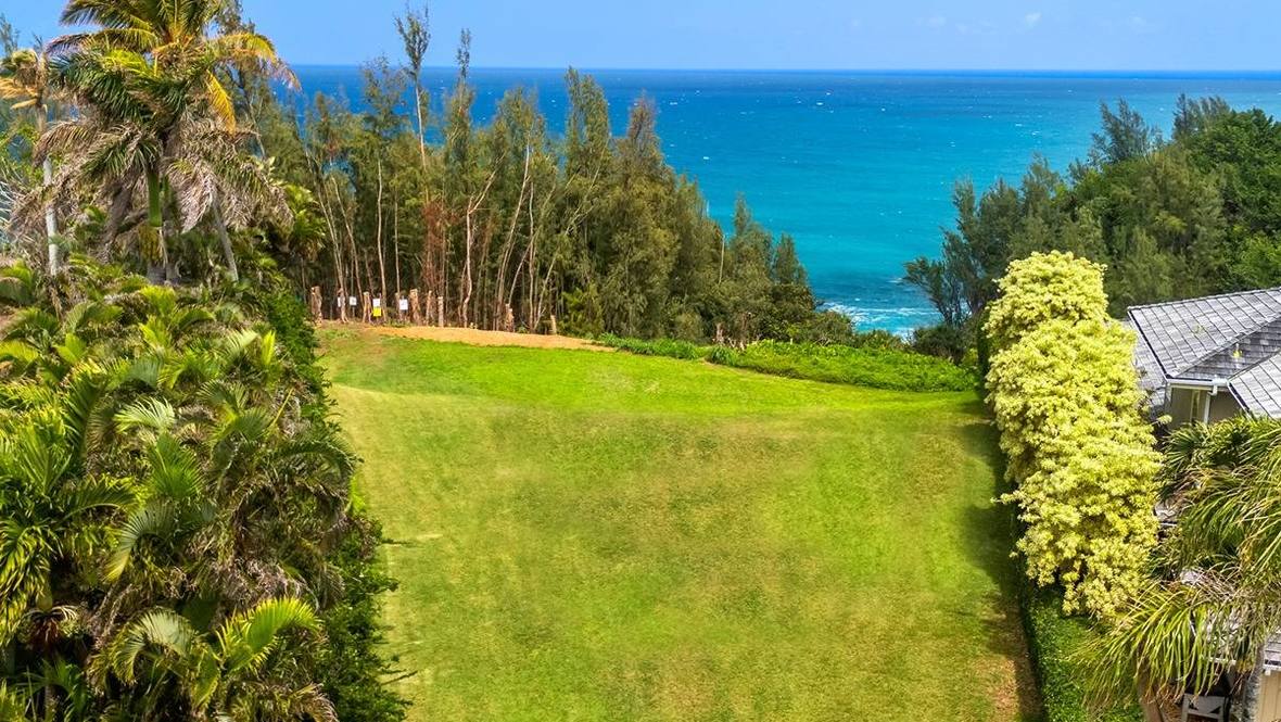 3773 PUNAHELE RD Land for Sale in Princeville 668044 Hawaii Life
